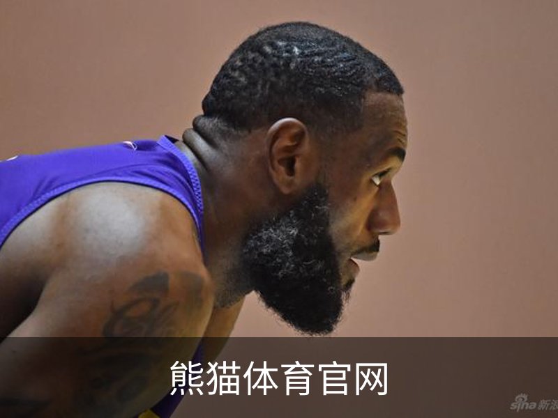 熊猫体育官网概况